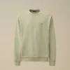 Pamuklu Diyagonal Polar, Dirençli Boyalı, Bisiklet Yaka, Logolu Sweatshirt
